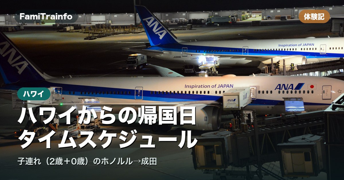 ホノルル発の帰国便(ANAの機体)(イメージ写真)